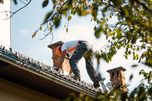 Best Chimney Flashing Repair  in Northridge, OH