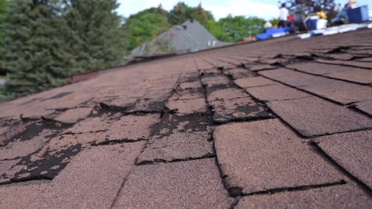 Best Skylight Installation and Repair  in Northridge, OH